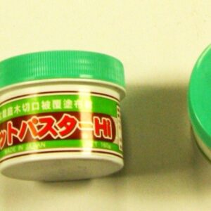 Huis and Tuindecoratie Woundcover green for Pinus
(1 Plants/Order)(cmP cmH)