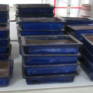 Huis and Tuindecoratie Pot rectangle glazed blue (22x16x5,5)
(3 Plants/Order)(22cmP 6cmH)