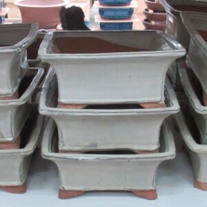 Huis and Tuindecoratie Bonsai Pot square, white (23,5x23,5x10)
(1 Plants/Order)(23cmP 23cmH)