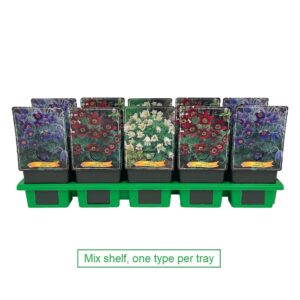 Pulsatilla Pulsatilla vulgaris mix laag P11
(10 Plants/Order)(11cmP 25cmH)