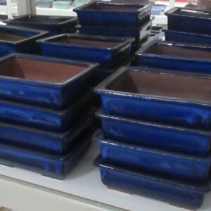 Huis and Tuindecoratie Pot rectangle glazed blue (19x14x5,5)
(5 Plants/Order)(19cmP 6cmH)