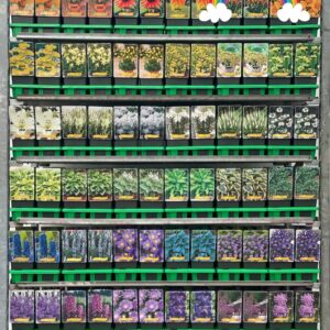 Vaste plants mixkar Regenboog vaste plants mix CC P11
(10 Plants/Order)(11cmP 25cmH)