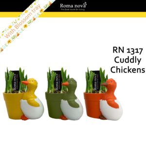 Narcissus Arrangement 1317 - Cuddly Chickens (Tete a Tete)
(5 Plants/Order)(14cmP 18cmH)