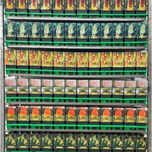 Kniphofia uvaria Kniphofia mix CC P11
(10 Plants/Order)(11cmP 25cmH)