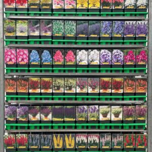 Vaste plants mixkar Budgetkar vaste plants mix CC P11
(10 Plants/Order)(11cmP 25cmH)