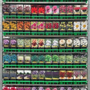 Vaste plants mixkar Supersortiment vaste plants mix CC P11
(10 Plants/Order)(11cmP 25cmH)