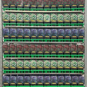 Pulsatilla vulgaris Pulsatilla vulgaris mix CC P11
(10 Plants/Order)(11cmP 25cmH)