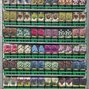 Vaste plants mixkar Vaste plants mix CC 4 P11
(10 Plants/Order)(11cmP 25cmH)