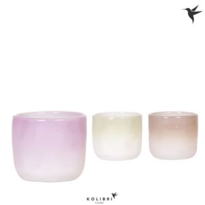 Keramische Pot Kolibri Home Gradience Pot mix
(12 Plants/Order)(6cmP 6cmH)