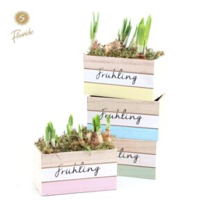 Arrangementen Tete a Tete (0973) Narcis Fruhlingbote 2PP
(9 Plants/Order)(14cmP 25cmH)