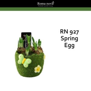 Narcissus Arrangement 927 - Spring Egg (Tete a Tete)
(5 Plants/Order)(13cmP 14cmH)