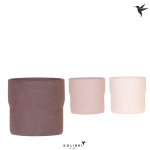 Keramische Pot Kolibri Home Rustic Pot mix
(5 Plants/Order)(12cmP 13cmH)