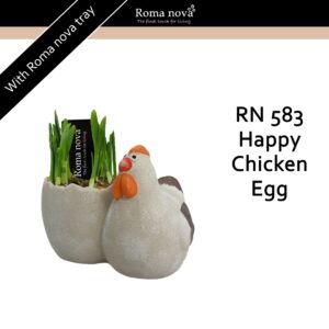 Narcissus Arrangement 583 - Happy Chicken Egg (Tete a Tete)
(4 Plants/Order)(12cmP 14cmH)