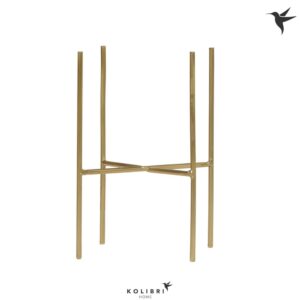 Huis and Tuindecoratie Kolibri Home Metal Foot gold
(15 Plants/Order)(12cmP 15cmH)