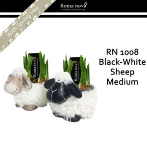 Narcissus Arrangement 1008 - Black white sheep medium (Tete a Tete)
(5 Plants/Order)(16cmP 18cmH)