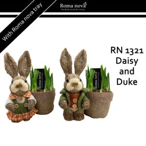Narcissus Arrangement 1321 - Daisy and Duke (Tete a Tete)
(6 Plants/Order)(18cmP 21cmH)