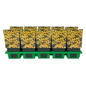 Rudbeckia fulgida Goldsturm Rudbeckia fulgida ‘Goldstrum’ P11
(10 Plants/Order)(11cmP 25cmH)
