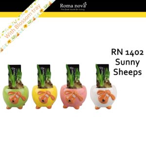 Narcissus Arrangement 1402 - Sunny Sheeps (Tete a Tete)
(8 Plants/Order)(9cmP 13cmH)