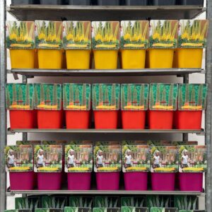 Eremurus Eremurus mix CC C5
(1 Plants/Order)(21cmP 35cmH)