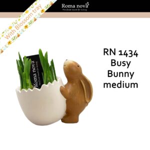 Narcissus Arrangement 1434 - Busy Bunny medium (Tete a Tete)
(5 Plants/Order)(15cmP 17cmH)