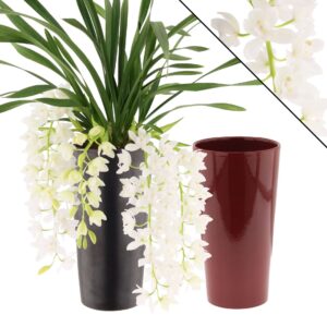 Cymbidium Ice Cascade Ice Cascade, 5-7 spike incl. Ceramics mix Colours
(5 Plants/Order)(14cmP 60cmH)