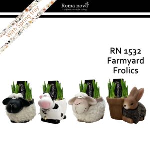 Narcissus Arrangement 1532 - Farmyard Frolics (Tete a Tete)
(5 Plants/Order)(16cmP 18cmH)