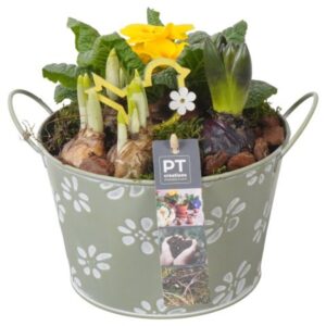 Arrangementen PTBM3760 Arrangement Flower Bulbs mix in metalen Pot
(3 Plants/Order)(18cmP 22cmH)
