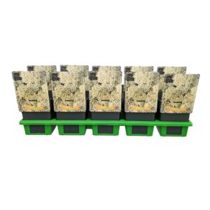 Achillea Achillea 'Crème de la Crème' P11
(10 Plants/Order)(11cmP 25cmH)