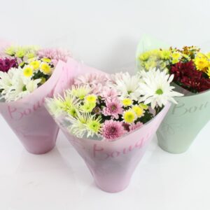 Chrysanthemum Indicum BouquetMix
(6 Plants/Order)(14cmP 27cmH)