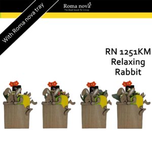 Kalanchoe 1251KM - Relaxing Rabbit (Kalanchoe mix)
(8 Plants/Order)(13cmP 21cmH)