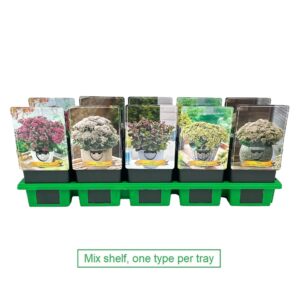 Sedum mix Sedum mix laag P11
(10 Plants/Order)(11cmP 25cmH)