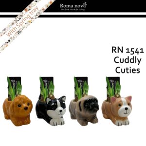 Narcissus Arrangement 1541 - Cuddly Cuties (Tete a Tete)
(8 Plants/Order)(15cmP 13cmH)