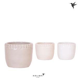 Keramische Pot Kolibri Home Stones Pot mix
(12 Plants/Order)(6cmP 6cmH)