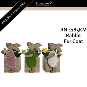 Kalanchoe 1185KM - Rabbit Fur Coat (Kalanchoe mix)
(8 Plants/Order)(10cmP 21cmH)