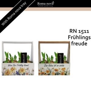 Narcissus Arrangement 1511 - Frühlingsfreude (Tete a Tete)
(6 Plants/Order)(23cmP 24cmH)
