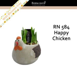 Narcissus Arrangement 584 - Happy Chicken (Tete a Tete)
(4 Plants/Order)(12cmP 14cmH)