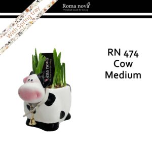 Narcissus Arrangement 474 - Cow Medium (Tete a Tete)
(5 Plants/Order)(17cmP 18cmH)