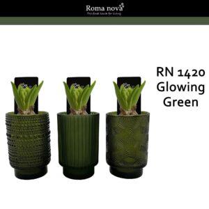 Hyacinthus Arrangement 1420 - Glowing Green (Hyacint)
(9 Plants/Order)(9cmP 20cmH)