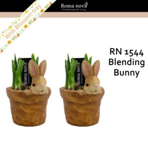 Narcissus Arrangement 1544 - Blending Bunny (Tete a Tete)
(6 Plants/Order)(13cmP 16cmH)