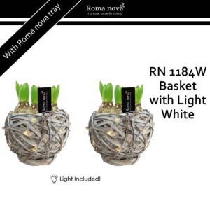 Hyacinthus Arrangement 1184W - Basket with Light White (Hyacint)
(6 Plants/Order)(17cmP 18cmH)