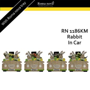 Kalanchoe 1186KM - Rabbit in Car (Kalanchoe mix)
(7 Plants/Order)(15cmP 21cmH)