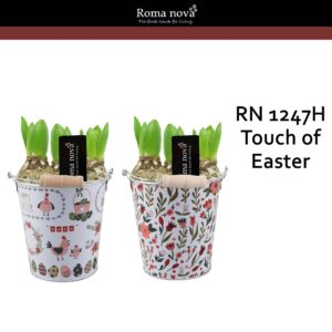 Hyacinthus Arrangement 1247H - Touch of Easter (Hyacint)
(6 Plants/Order)(14cmP 21cmH)