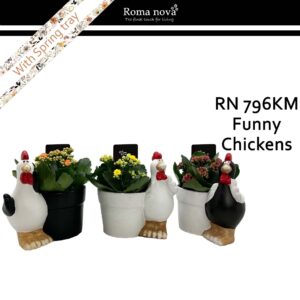 Kalanchoe 796KM - Funny Chickens (Kalanchoe mix)
(5 Plants/Order)(15cmP 18cmH)