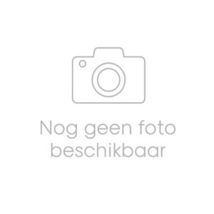 Dryopteris affinis Crispa Dryopteris affinis 'Crispa' ES13 1,0l
(8 Plants/Order)(13cmP 20cmH)