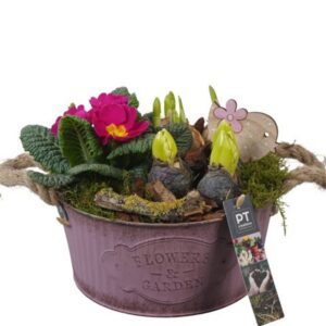 Arrangementen PTBM3767 Arrangement Flower Bulbs mix in metalen Pot
(1 Plants/Order)(22cmP 20cmH)