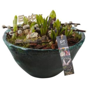 Arrangementen PTBMP5762 Arrangement Easter Bulbs mix in Glas schaal
(2 Plants/Order)(26cmP 22cmH)