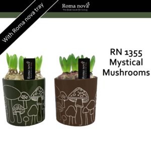 Hyacinthus Arrangement 1355 - Mystical Mushrooms (Hyacint)
(6 Plants/Order)(12cmP 20cmH)