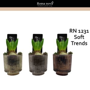 Hyacinthus Arrangement 1231 - Soft Trends (Hyacint 6cm)
(12 Plants/Order)(8cmP 16cmH)