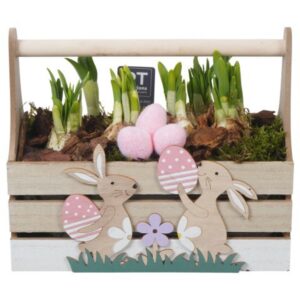 Narcissus Tete a Tete PTNP4489 Arrangement Narcissus Easter in houten rechthoek
(4 Plants/Order)(24cmP 21cmH)