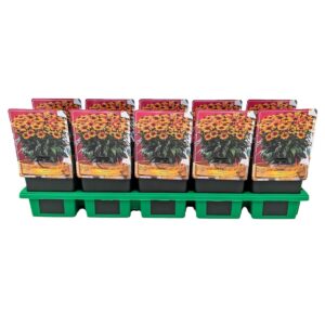 Echinacea Sombrero Echinacea Sombrero® Special Yellow Red P11
(10 Plants/Order)(11cmP 25cmH)